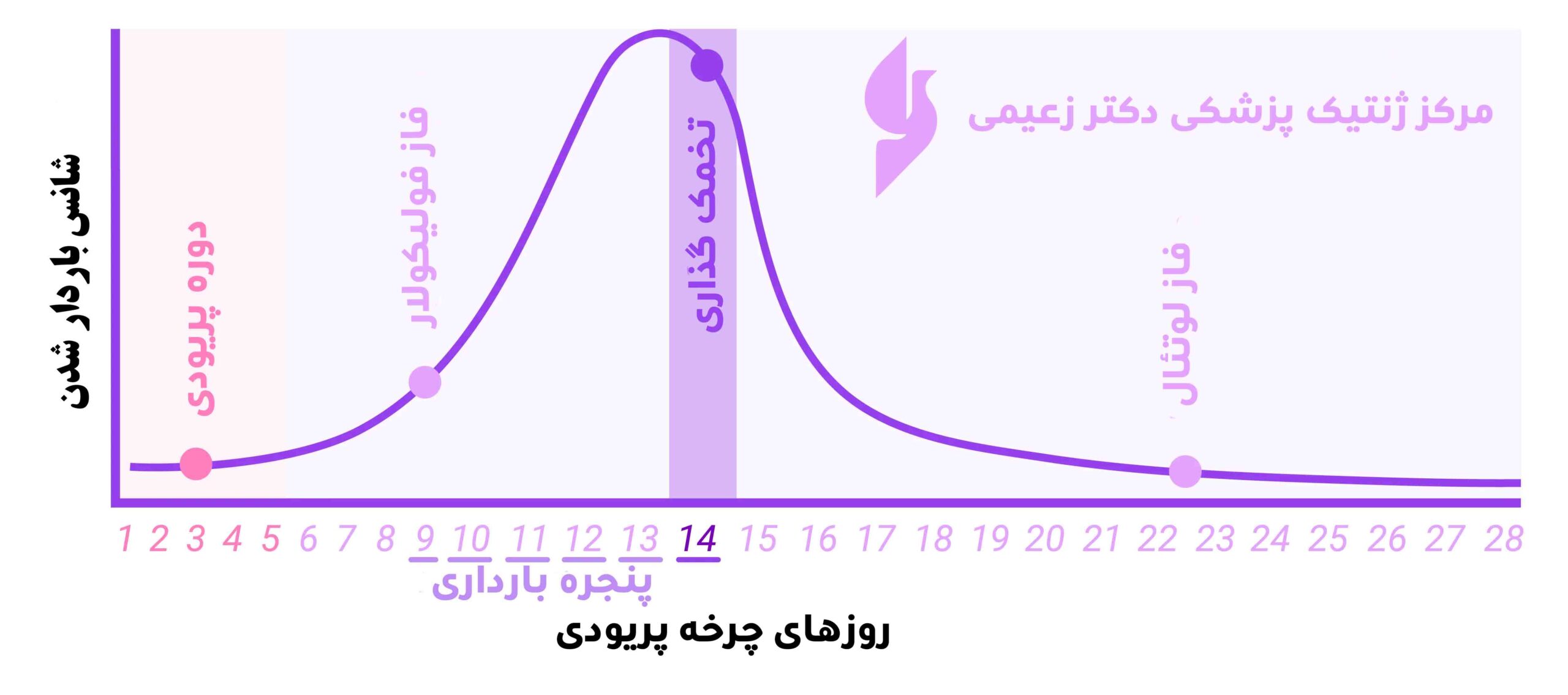 نمودار احتمال بارداری