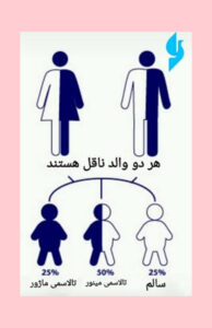 تالاسمی بتا یک بیماری ارثی خونی است که به دلیل جهش در ژن HBB ایجاد می شود.